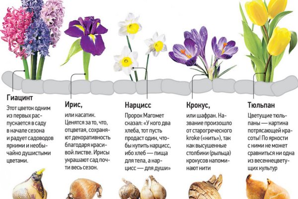 Кракен не заходит