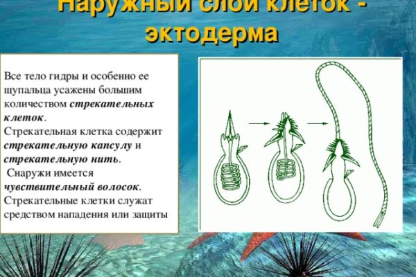 Kraken istand onion ссылка